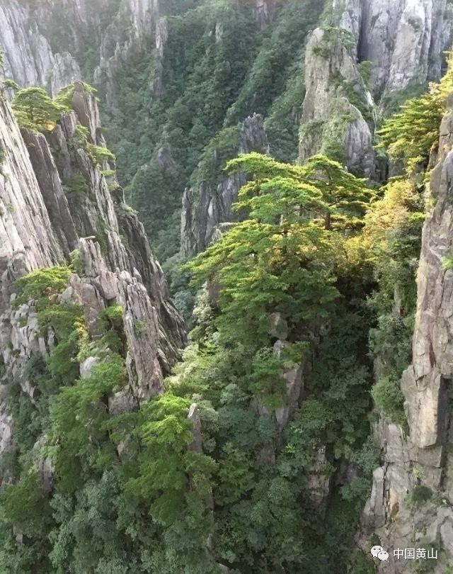 春雨直播app